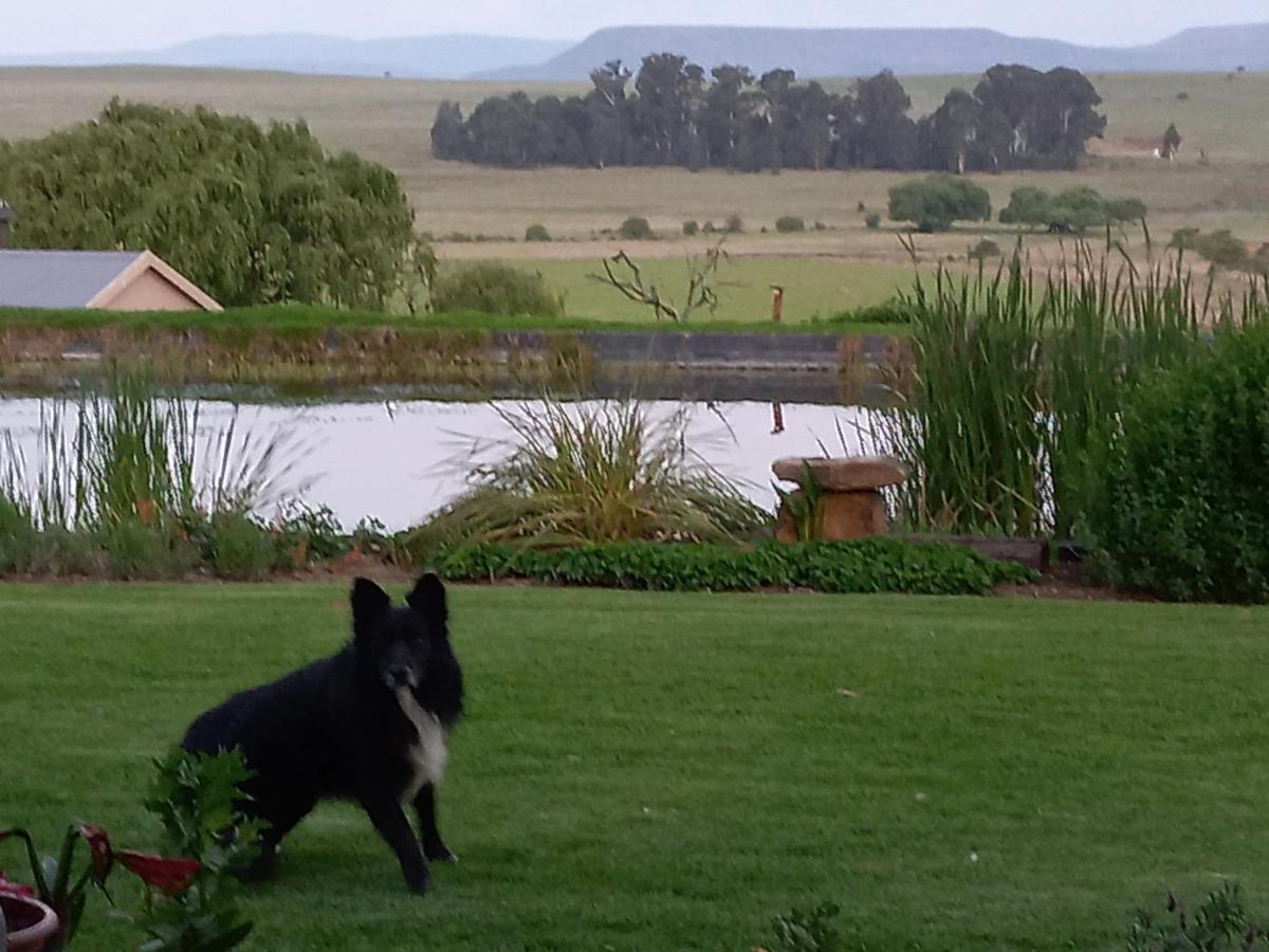 Forellenhof Guest Farm Wakkerstroom Exterior foto